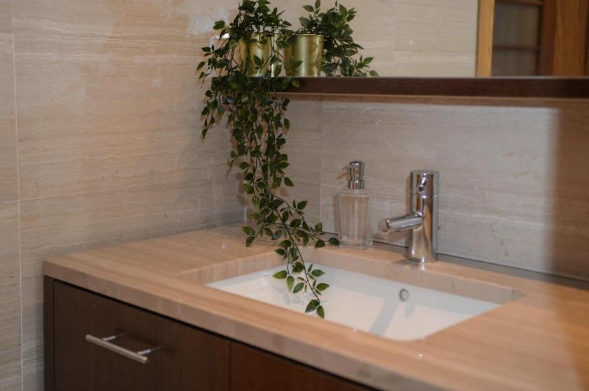 Luxury Laranjeiras Apartment